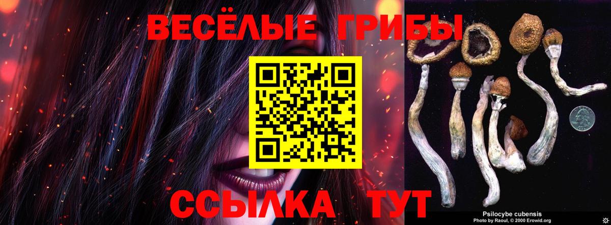 Галлюциногенные грибы GOLDEN TEACHER  Вход с VPN  Кунгур 